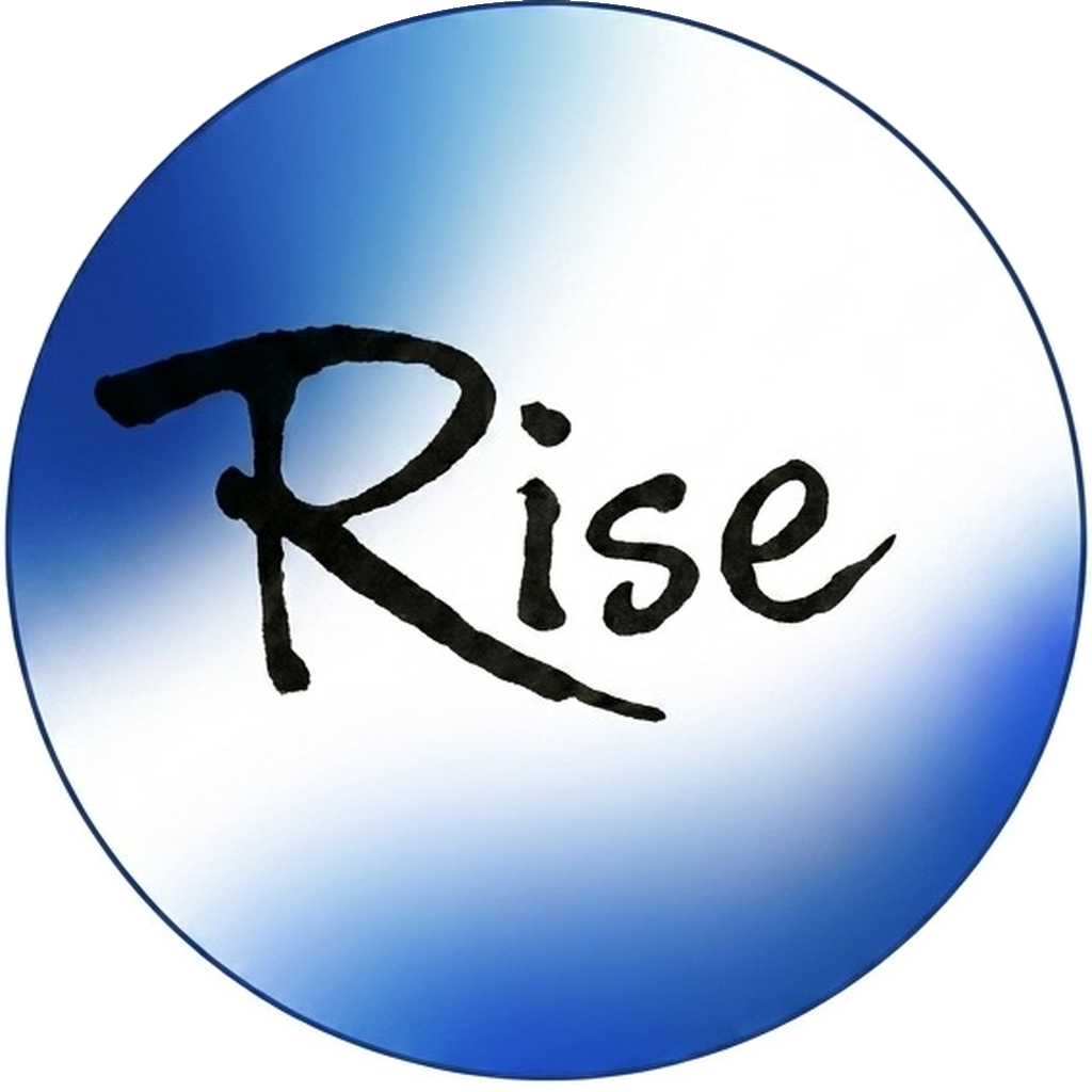 Rise Media Buyer